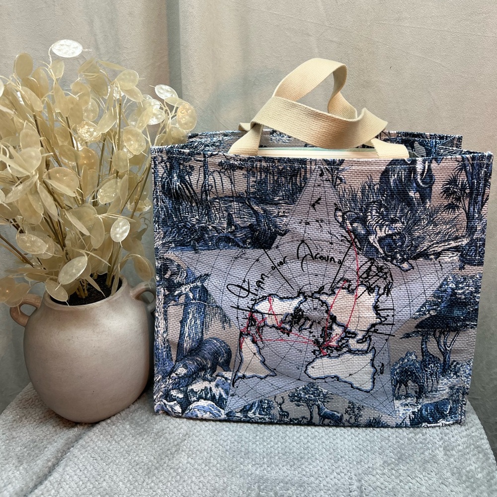 💙DIOR - Around The World - Straw style VIP Tote bag